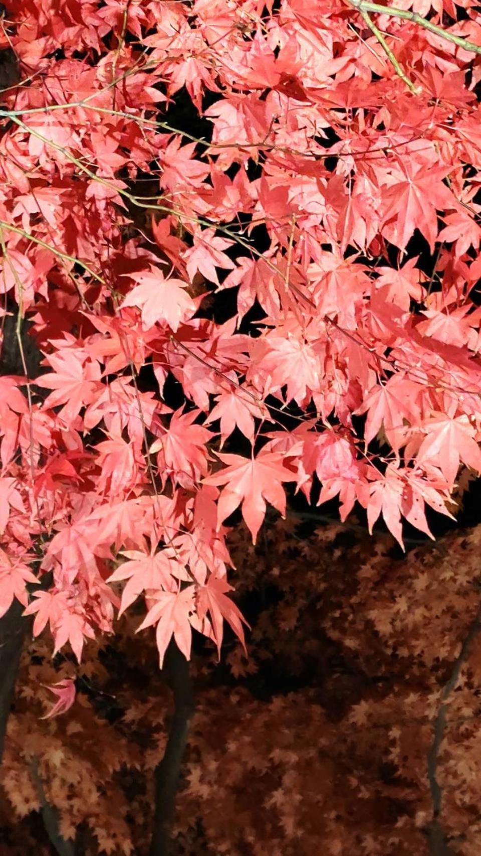 Yunohama Hotel Hakodate Luaran gambar