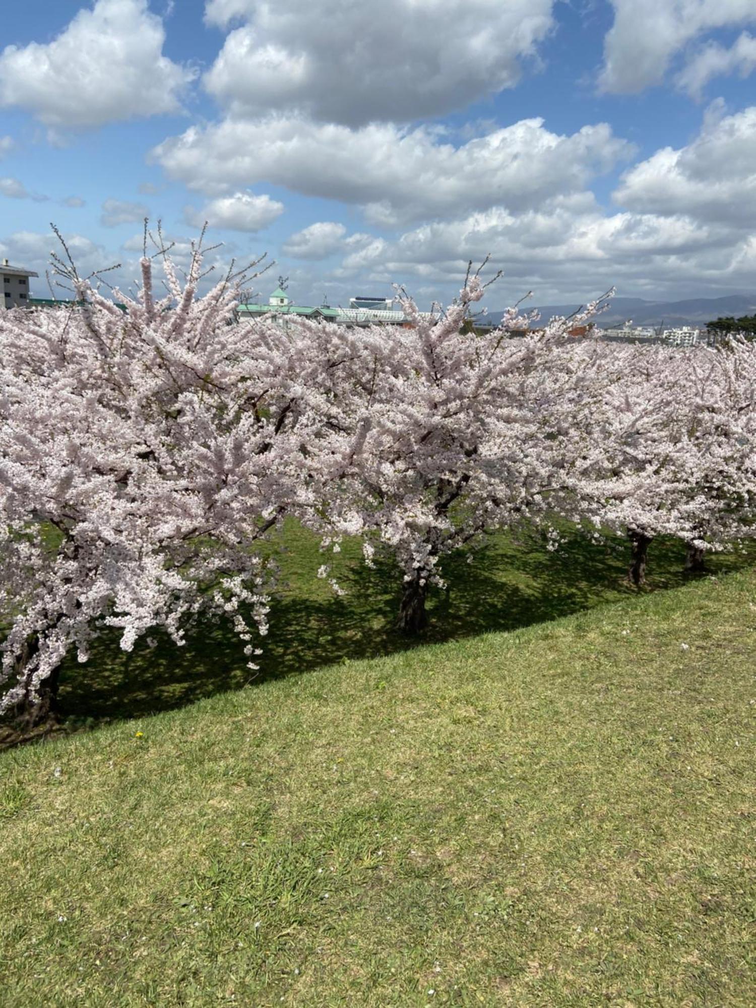 Yunohama Hotel Hakodate Luaran gambar