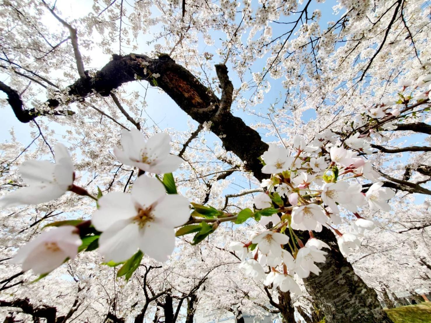Yunohama Hotel Hakodate Luaran gambar